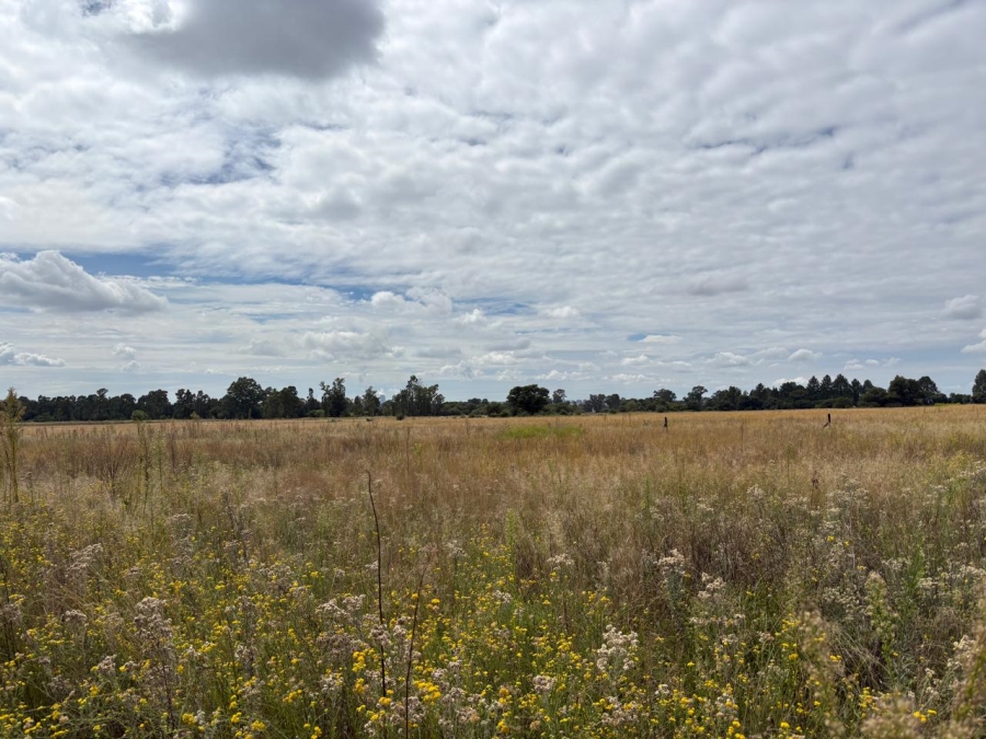 0 Bedroom Property for Sale in Vaalpark Free State